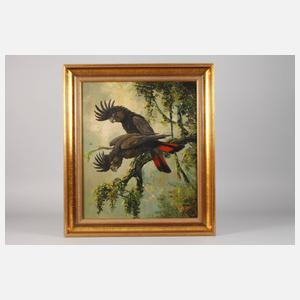 Rudolf Hirschel, Kakadu-Paar