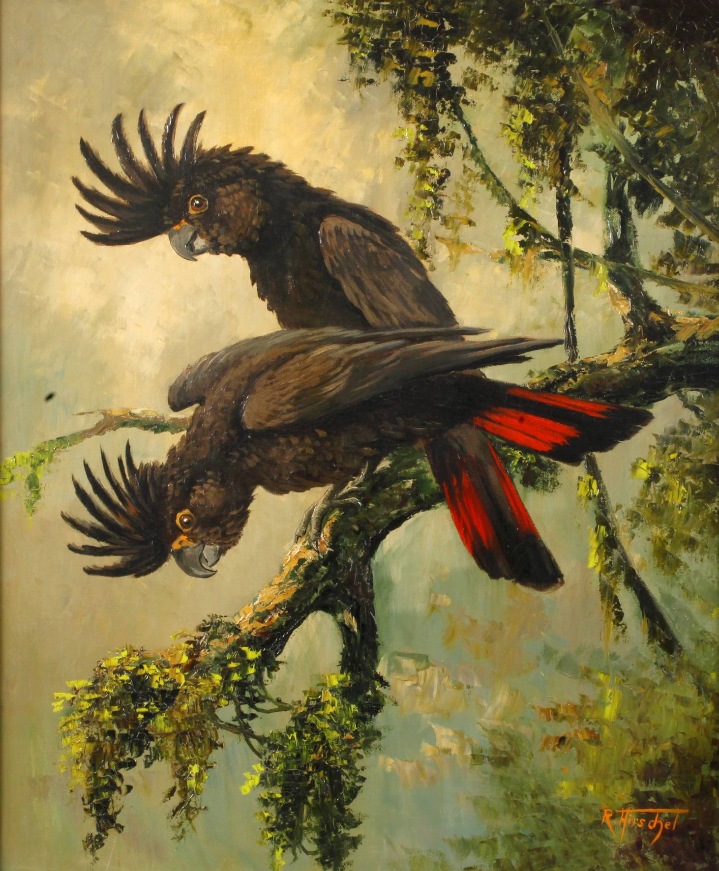 Rudolf Hirschel, Kakadu-Paar