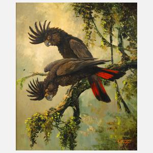 Rudolf Hirschel, Kakadu-Paar