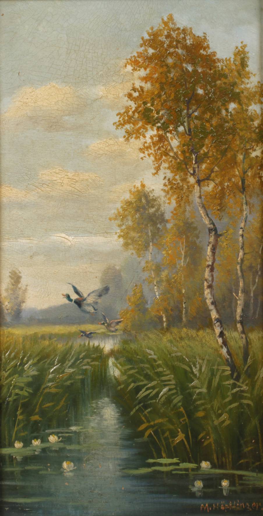 Max Höpflinger, Auffliegende Enten im Schilf