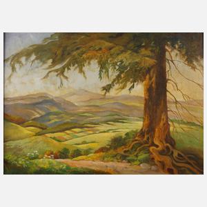 Claire Lorenz-März, Blick ins Gebirge