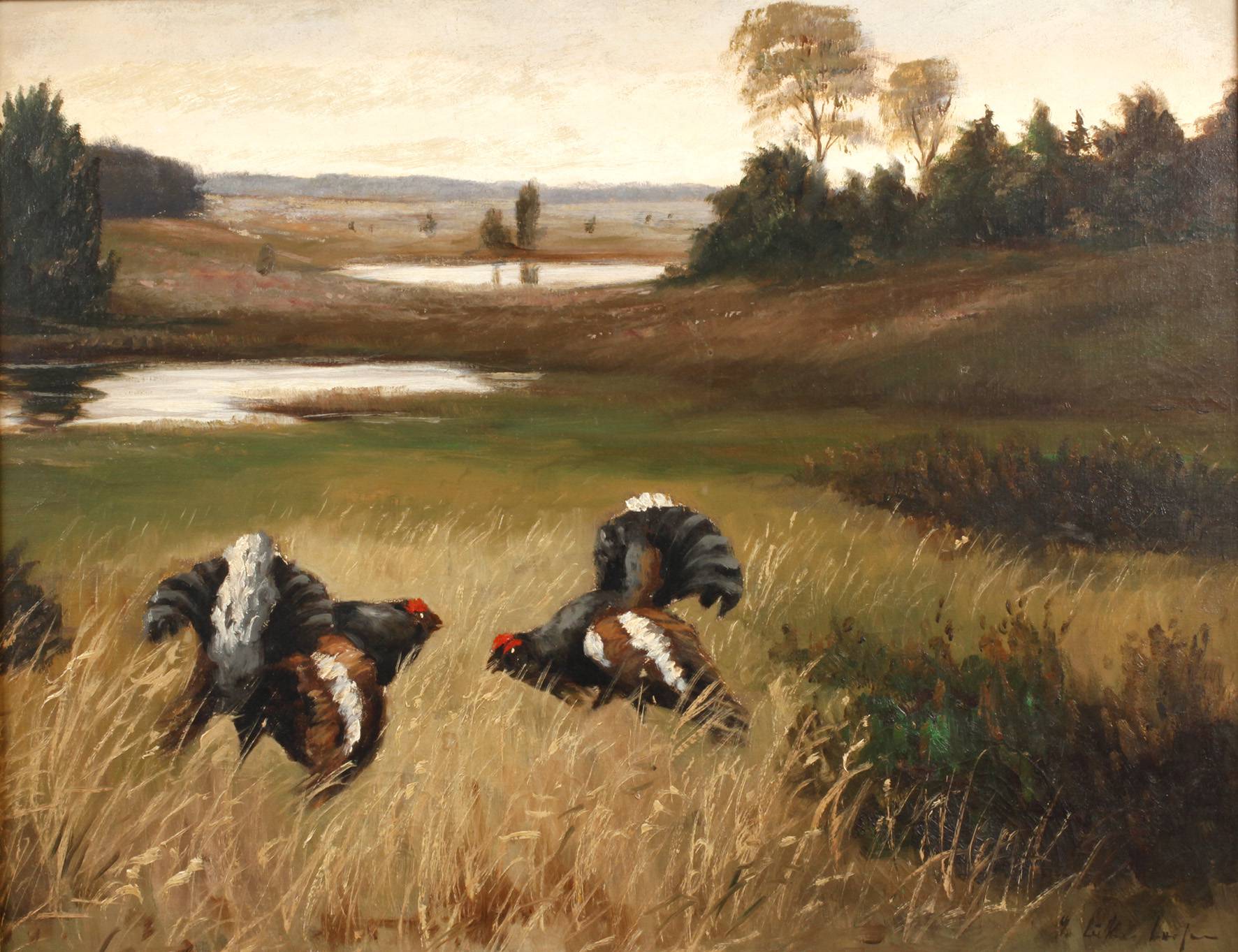 Gerhard Lukas-Larsen, balzende Auerhähne