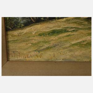 H. Müller, Sommerliche Hochgebirgslandschaft