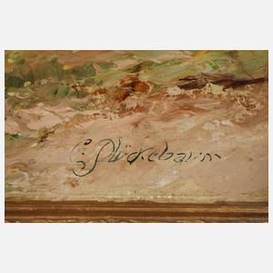 Carl Plückebaum, Alter Förster beim Reviergang