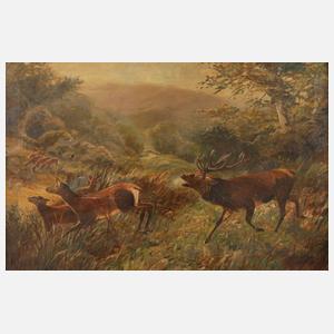 Schindler, Hirsche in Landschaft