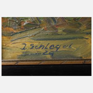 J. Schlegel, herbstliche Gebirgslandschaft