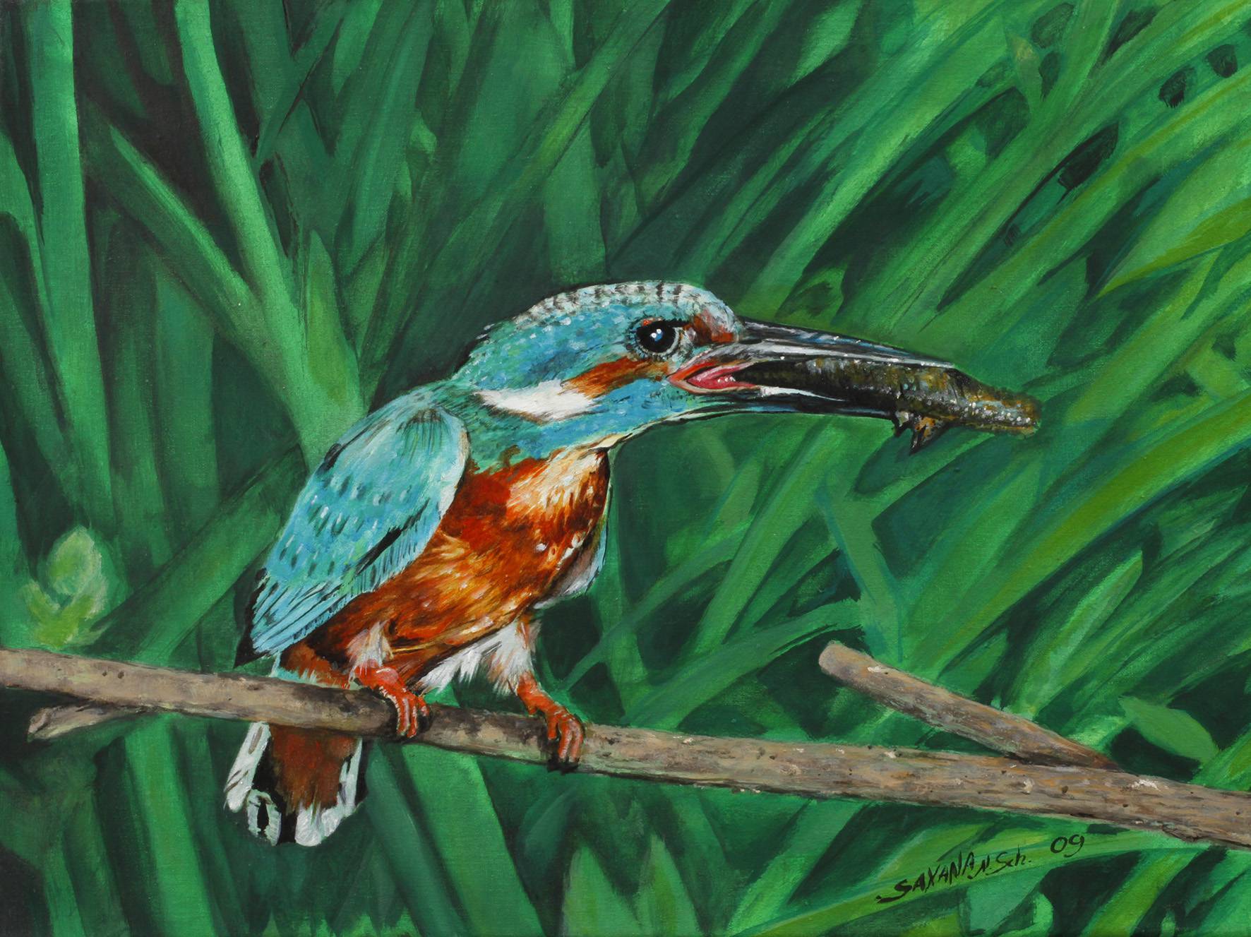 Saxana N. Schötschel, ”Eisvogel”