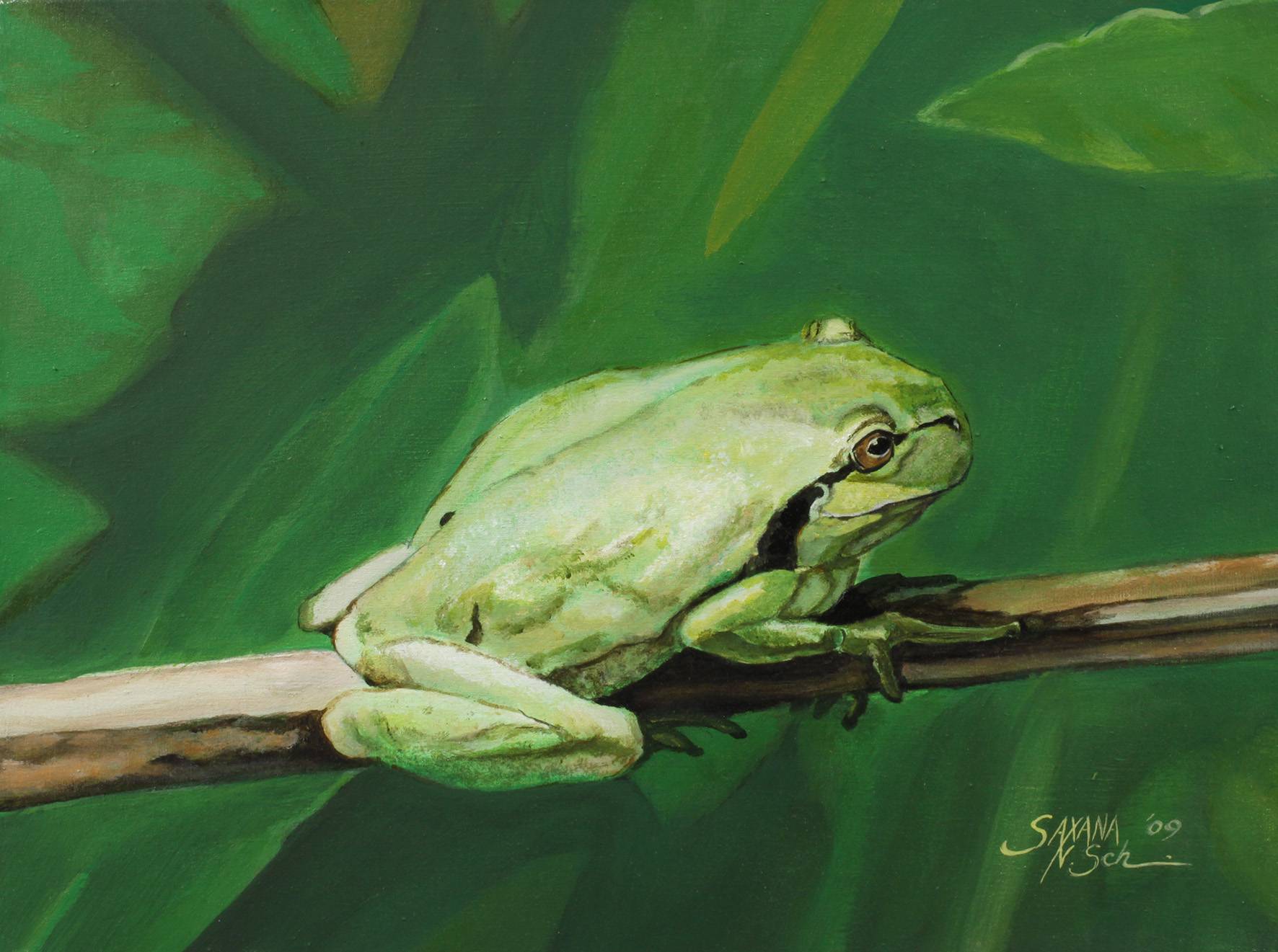 Saxana N. Schötschel, ”Laubfrosch”