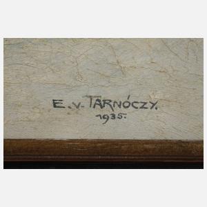 Eugen von Tarnoczy, ”Im Kleinarltal”