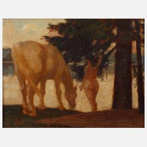 Damenakt mit Pferd am See