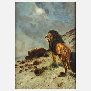 Löwe in nächtlicher Landschaft