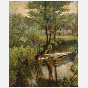 Sommerliche Flusslandschaft