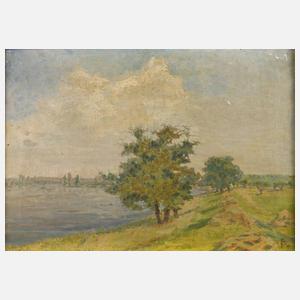 Sommerliche Flussuferlandschaft