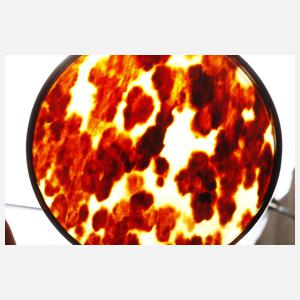 Elfenbeinbrosche in Schatulle