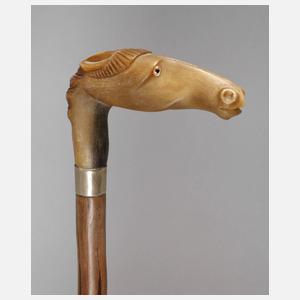 Spazierstock Horn
