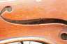 Violine
