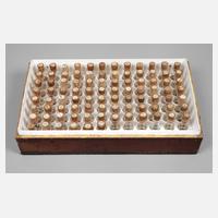 Homöopathische Apotheke111