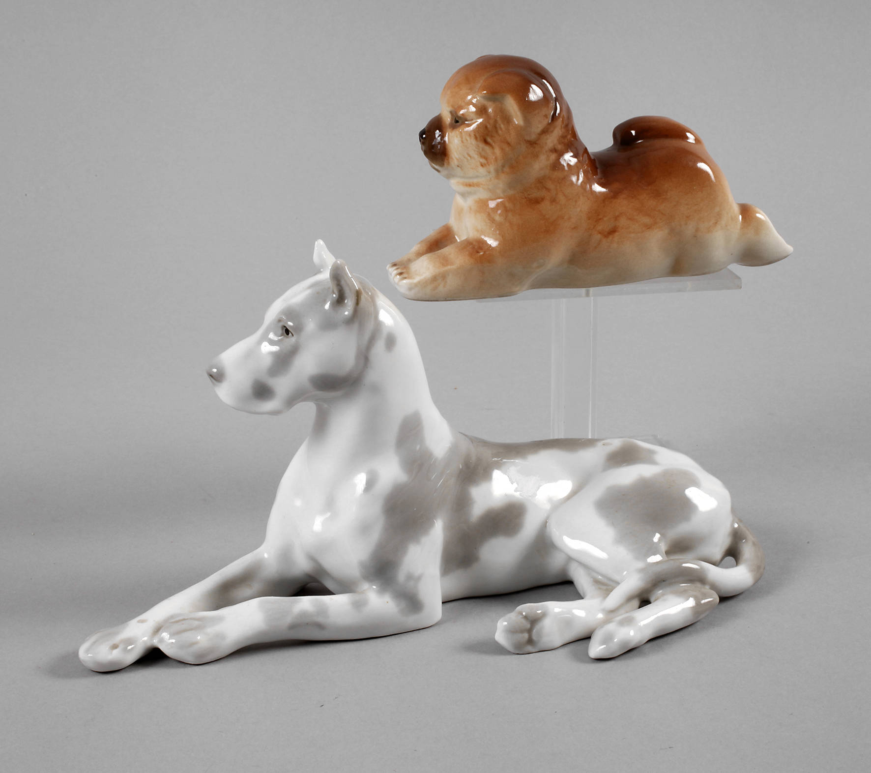 Russland zwei liegende Hunde