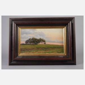 Shilov Alexander, ”Bechewo”