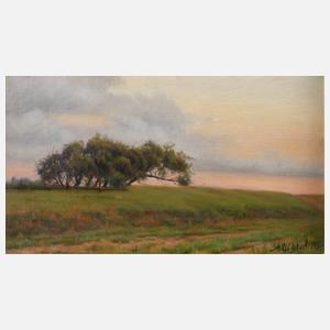 Shilov Alexander, ”Bechewo”