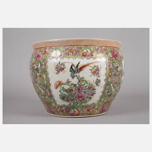 Cachepot Famille Rose