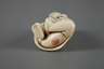 Netsuke