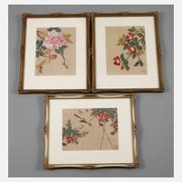 Drei Farbholzschnitte111