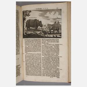 Die Gesantschaft der Ost-Indischen Gesellschaft