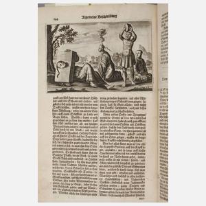 Die Gesantschaft der Ost-Indischen Gesellschaft