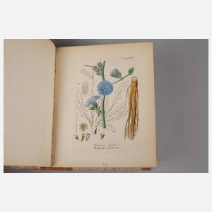 Arthus' Handatlas der Heilpflanzen 1876