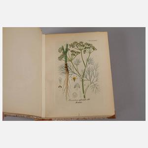 Arthus' Handatlas der Heilpflanzen 1876