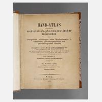 Arthus' Handatlas der Heilpflanzen 1876111