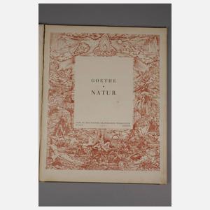 ”Goethe Natur”
