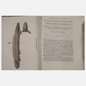 Annales du Muséum National