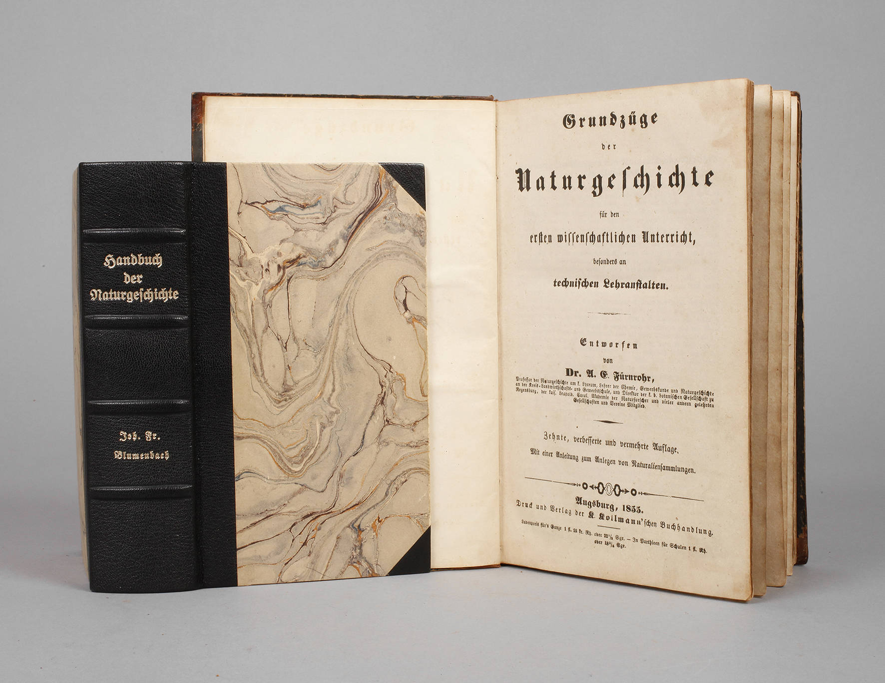 J. F. Blumenbach/A. E. Fürnrohr