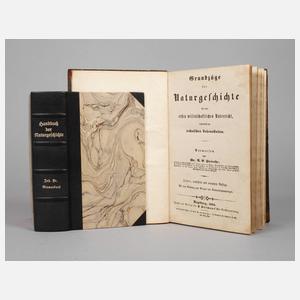 J. F. Blumenbach/A. E. Fürnrohr