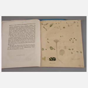 Th. F. L. Nees von Esenbeck