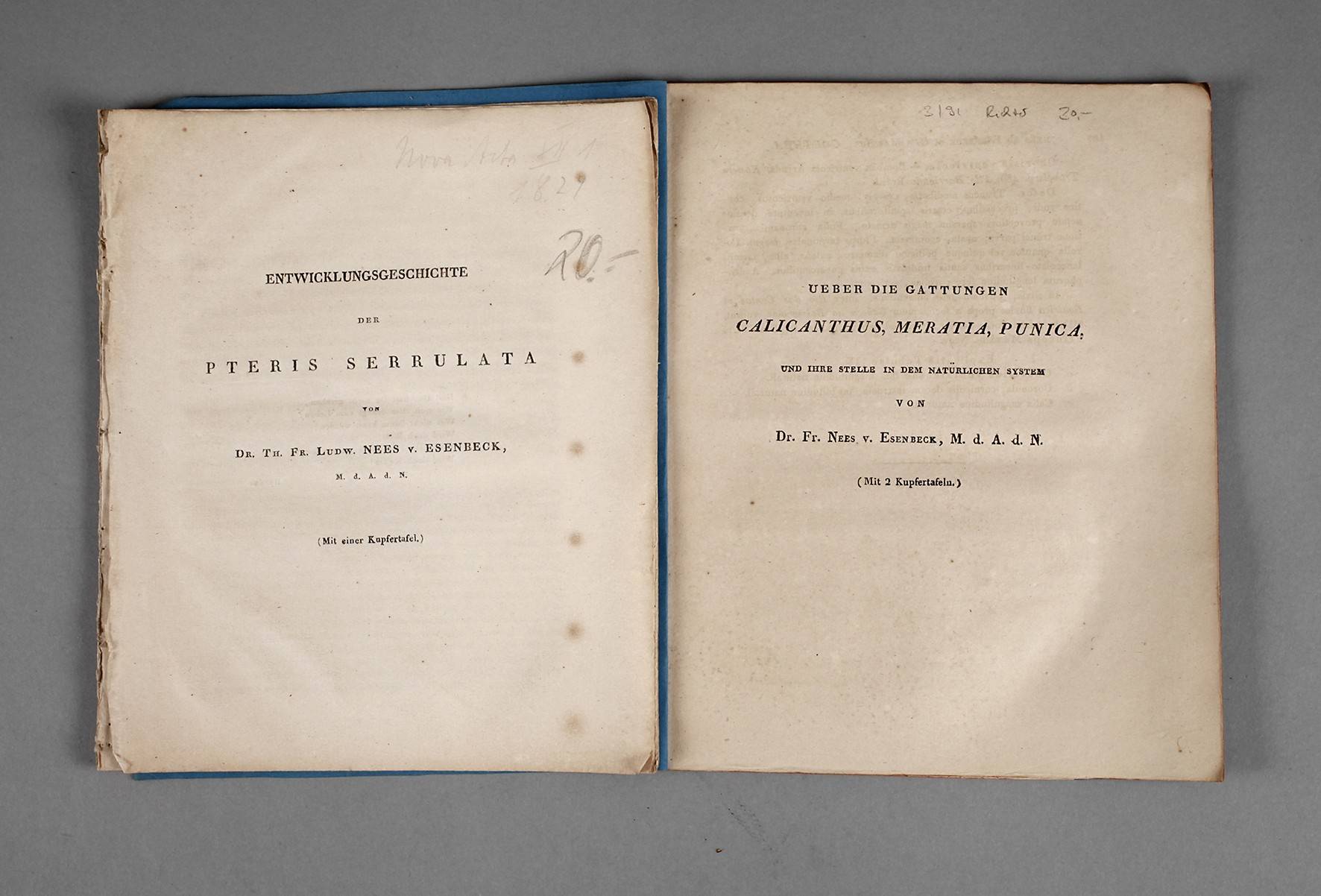 Th. F. L. Nees von Esenbeck