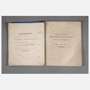 Th. F. L. Nees von Esenbeck