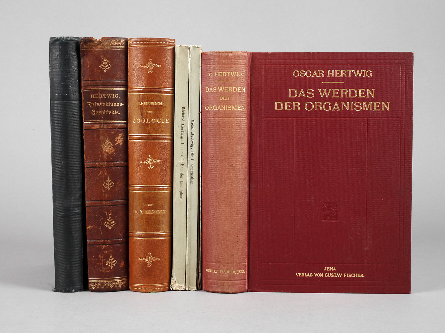 Oscar und Richard Hertwig