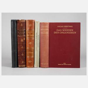 Oscar und Richard Hertwig