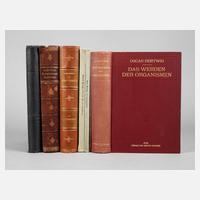 Oscar und Richard Hertwig111