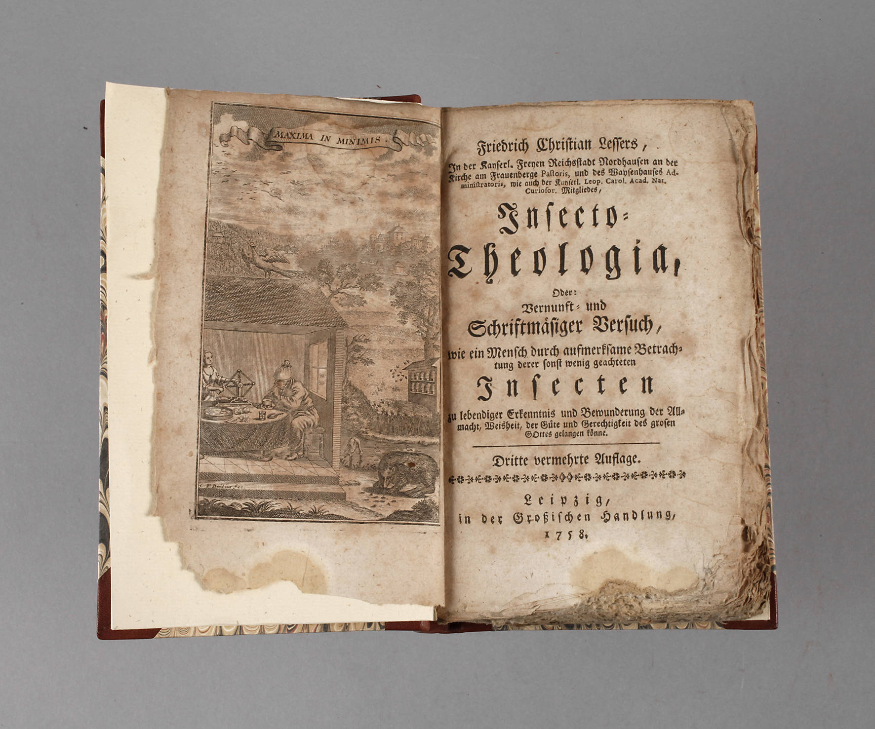 Friedrich Christian Lesser