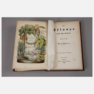 Matthias Jacob Schleiden