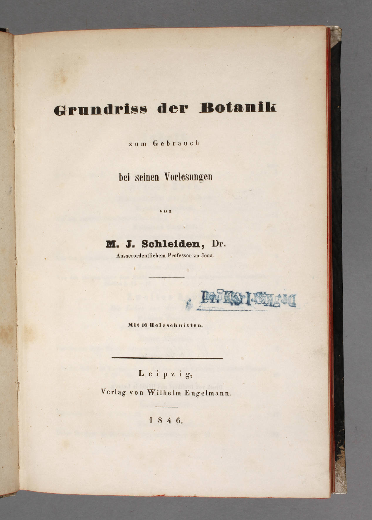 Matthias Jacob Schleiden