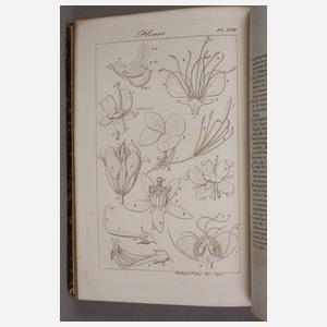 Nicolas Charles Seringe