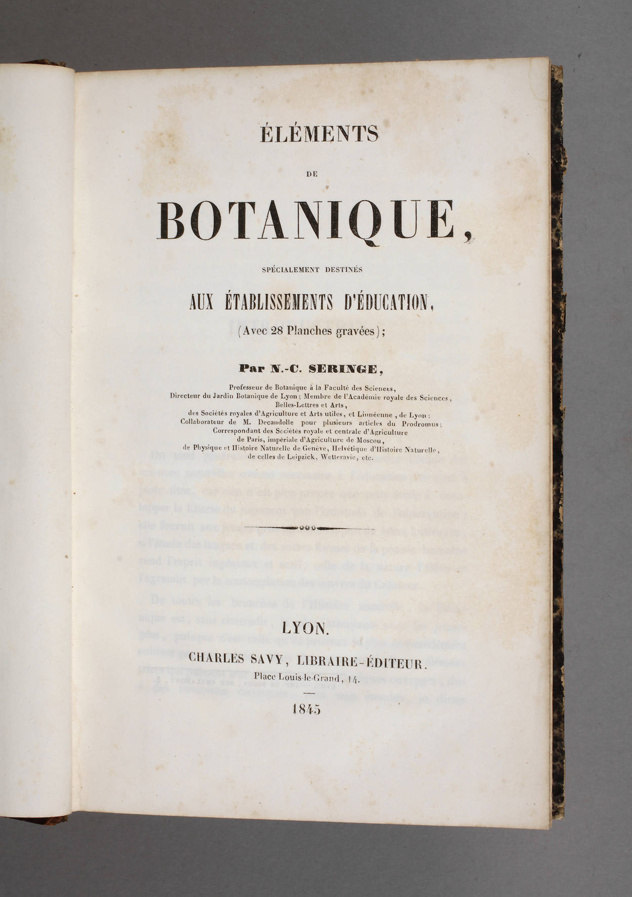 Nicolas Charles Seringe