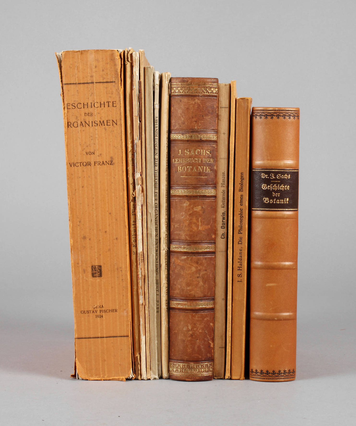 Konvolut Biologie/Pflanzen