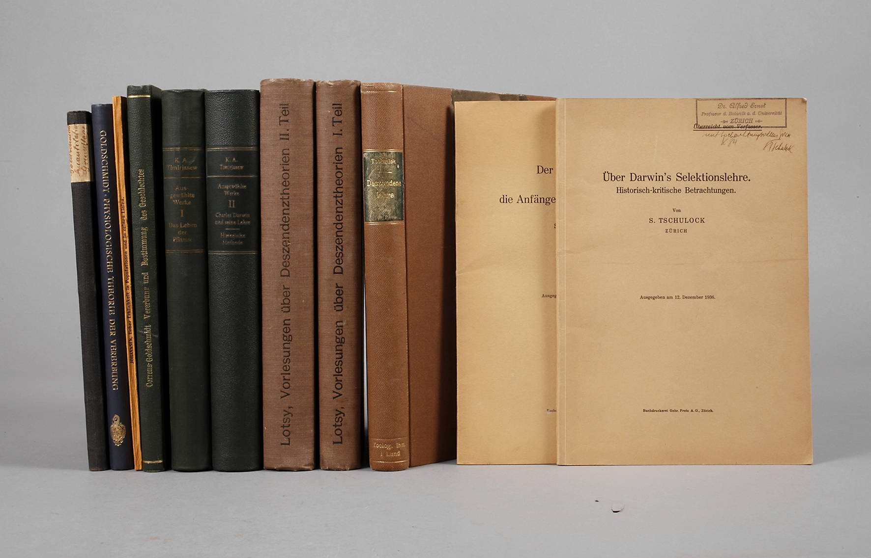 Konvolut Deszendenzlehre