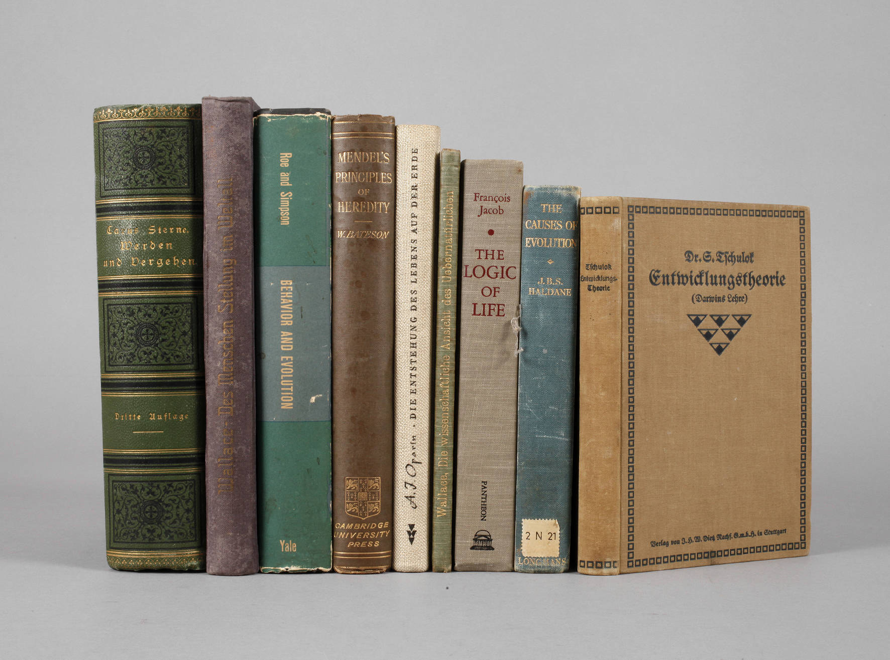 Konvolut Leben und Evolution